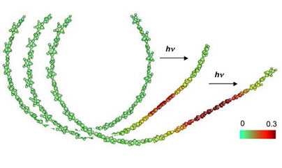 New MIT research has suggested another way to make polymer actuate, shown here. The new method is to shine light of a specific frequency (hn), on the conducting polymer. The polymer in this image is a chain (neutral charge, green) that is naturally curved before exposure. The effect of light (hn frequency) is to create positive charges (red) in a localized area. The positive charges enhance the ch...
