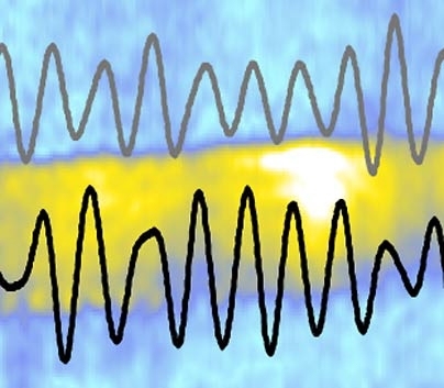 Brain waves called theta rhythms, shown simultaneously recorded in the hippocampus (grey) and prefrontal cortex (black), are shown reaching peak synchrony (the yellow streak and white blob).
