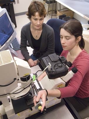 Sheri Simmons uses a pipette to place water samples onto a microscope slide to look at the swimming behavior of magnetotactic bacteria. Her advisor and co-author, Katrina Edwards, is at left.