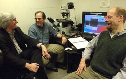 Professors Douglas A. Lauffenburger, Peter K. Sorger and Michael B. Yaffe share a moment together in Sorger's lab. The three members of MIT's Center for Cancer Research led a team of scientists that has found links between inflammatory disease and cancer.