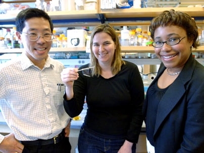 From left, Professors Yet-Ming Chiang, Angela Belcher and Paula Hammond display a virus-loaded film that can serve as the anode of a battery.