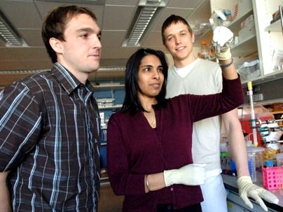 From left, Todd Harris, graduate student in the MIT-Harvard Division of Health Sciences & Technology (HST), Sangeeta Bhatia, professor in HST, and Geoffrey von Maltzahn, graduate student in HST, view two solutions of enzyme-activated nanoparticles. The enzymes cause the nanoparticles to self-assemble into large aggregates that fall out of solution.