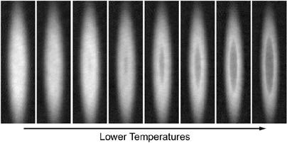 Direct observation of the superfluid phase transition in ultracold Fermi gases. The images show the excess atoms (the 'single men') in the gas cloud that are not involved in the superfluid pairing. As the superfluid forms in the center, the excess atoms have to give way and start forming a shell around it.