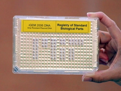 This plate containing pieces of DNA is part of the Registry of Standard Biological Parts developed at MIT for work in synthetic biology.