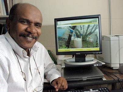 Research led by MIT professor Elfatih Eltahir indicates that trees in a desert forest in Oman survive by extracting moisture from low-lying clouds.