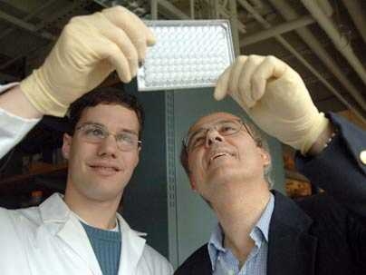 MIT graduate student Chris Loose, left, and Professor Greg Stephanopoulos look for signs of bacteria. The researchers and their colleagues have custom-designed molecules that are effective in killing microbes.
