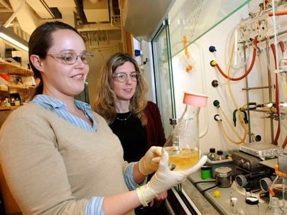 Chemistry graduate student Elizabeth McCoy, left, and Sarah O'Connor, assistant professor of chemistry, inspect their latest batch of periwinkle root. They are working with periwinkle seedlings to produce potential new drugs.