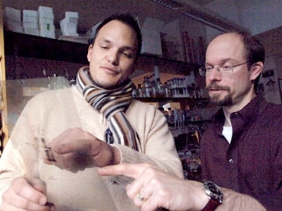 Postdoctoral fellow Christian Reinhardt, left, and Professor Michael Yaffe of MIT's Center for Cancer Research have identified a defense mechanism that helps tumor cells survive chemotherapy.