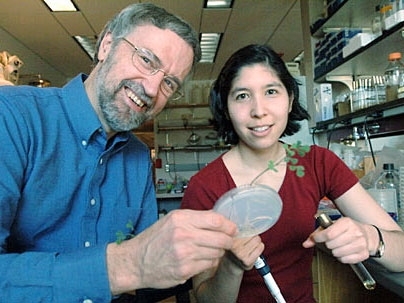 Professor Graham Walker and postdoctoral fellow Michiko Taga have discovered the last unknown step in the production of vitamin B12. The vitamin is synthesized by soil microbes that form symbiotic relationships with plant roots.
