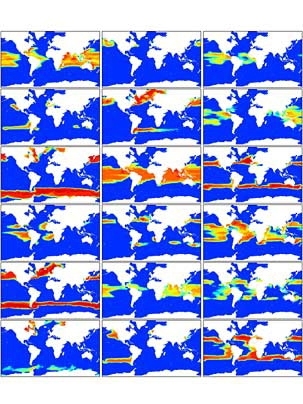Image above shows the emergent ocean ecosystem community structure. The phytoplankton community is organized according to relative fitness in the physical, chemical, and predatory environment.