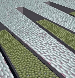 The HST researchers microfabricated plates that can be rearranged to modulate interactions between two cell populations.