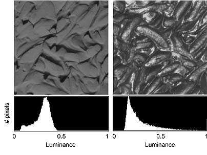 The stucco-like surface on the right looks darker and glossier than the one on the left even though the mean luminance of both images is equal. The luminance histogram of the image on the right is positively skewed and the one on the left is negatively skewed.