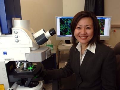 Li-Huei Tsai, Picower Professor of Neuroscience in the Department of Brain and Cognitive Sciences, and colleagues have found that exposing lab mice to certain environmental stimuli induced the animals' brain cells to make new connections.