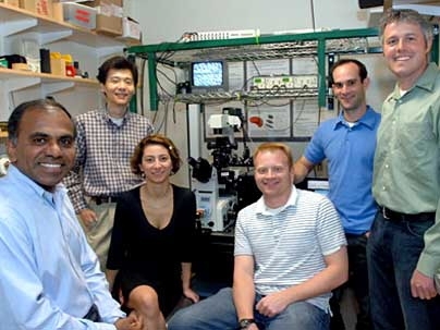 Part of the global team responsible for confirming the protein RESA's role in causing malaria by binding to red blood cells, in a lab at MIT. Professor Subra Suresh, left, research scientist Ming Dao, standing, post-doc Monica Diez Silva, seated, graduate student David Quinn, seated, graduate student John Mills, and professor Matthew Lang.