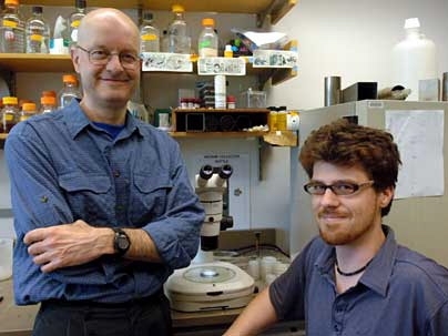 Biology professor Leonard Guarente, left, and postdoctoral associate Nicholas Bishop, in the lab where they have been studying longevity in the nematode worm Caenorhabditis elegans.