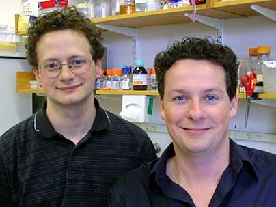 Whitehead postdoctoral students Stuart Levine and Matthew Guenther