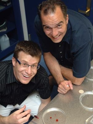 Professors Roman Stocker, left, and John Bush display a mixture of oil, detergent and water. Their research explains what happens when an oil drop containing a water-insoluble surfactant is placed on a water surface.