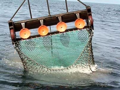 Testing the scallop dredge in the Irish Sea, off the Isle of Man.