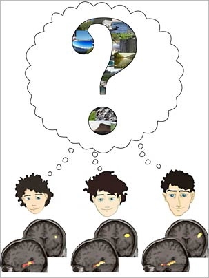 Memory formation in children, adolescents and young adults: Brain activation in the medial temporal lobe (lower brain scans) remains constant while activation in the prefrontal cortex (upper brain scans) increases from childhood to adulthood when successfully memorizing pictures with rich detail.