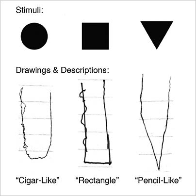 Drawings of visual objects by a stroke victim known as BL. When a stimulus appears just below BL's blind area, the shape elongates upwards and into the blind area. He perceived circles as cigar shaped, squares as rectangles, and triangles as pencil shaped.