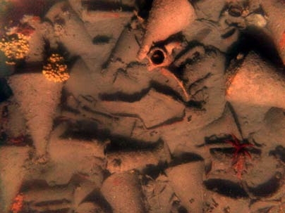 Broken amphoras amid debris on the Aegean seafloor.