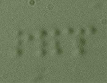MIT researchers trapped fifteen E. coli cells in place on a silicon chip to form the letters 'MIT' using a 'tractor beam' of light.