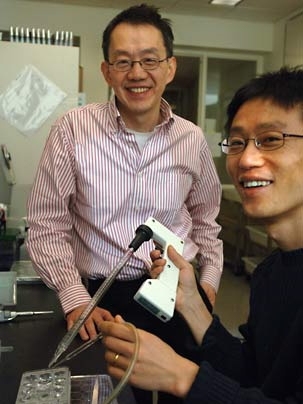 Professor Morgan Sheng, Menicon Professor of Neuroscience at MIT's Picower Center for Learning and Memory, joins post-doc Myung Jong Kim, right, in the lab. They have shown how manipulating a brain scaffolding protein called PSD-95 could boost cognitive function.