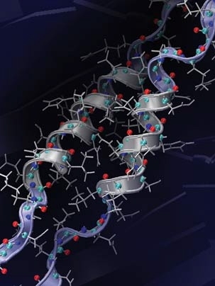 This figure from an atomistic model shows a protein in the process of unwinding in response to pressure.