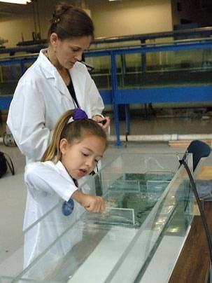 Seven-year-old Juliana Bach uses drops of dye and floating beads to study the pattern of water movement in a shallow basin. Juliana conducted the experiment as part of her dream come true to be a "scientist for a day," enabled by the Make-A-Wish Foundation and MIT. Heidi Nepf, rear, a professor of civil and environmental engineering, came up with a number of experiments for Juliana to do.