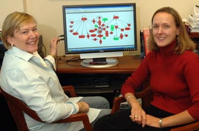 Leona Samson, left, and Dr. Rebecca Fry have found that prenatal exposure to arsenic leads to alarming changes in the genetics of newborn babies. Samson is the director of MIT's Center for Environmental Health Sciences (CEHS) and the American Cancer Society Professor in the Departments of Biological Engineering and Biology. Fry is assistant scientific director of CEHS.
