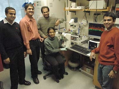 Shown, from left, are MIT postdoc Karthik Viswanathan; research scientist Rahul Raman; Ram Sasisekharan, MIT Underwood Prescott Professor of Biological Engineering and Health Sciences and Technology; postdoc Aravind Srinivasan and, seated, graduate student Aarthi Chandrasekaran. The researchers have discovered a new way to monitor whether avian flu strains are evolving into a form that could infec...