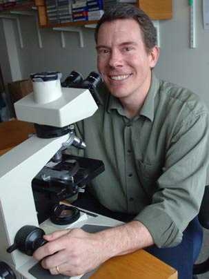 Arlin Rogers, principal research scientist in the MIT Division of Comparative Medicine, looks at slides in his office. He and colleagues have figured out why men are more susceptible to liver cancer than women.