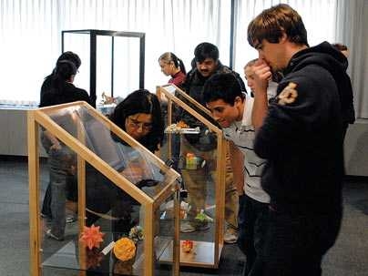 Tyson McNulty '08, right, and Jason Ku '09 study complex modular origami by various contestants.
