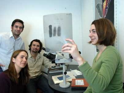 Researchers in MIT cancer researcher Tyler Jacks' lab have demonstrated the role of a family of microRNAs in normal embryonic development. Amanda Young, a graduate student of biology, shows a film to, from left, postdoc Monte Winslow, research technician Laura Lintault and postdoc Andrea Ventura.