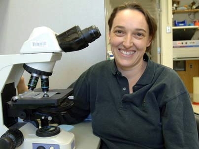 Angelika Amon, an MIT biology professor, reports new insights into the role of proteins in cell division, work that could shed light on why errors occur during this process.