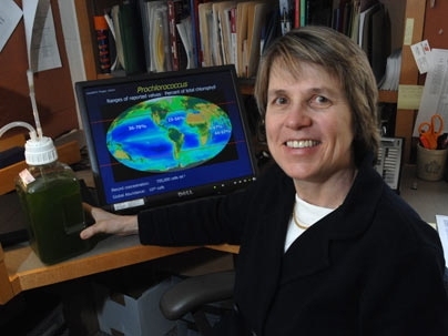Now, 20 years later, Chisholm holds a container filled with Prochlorococcus microbes. Its proliferation in the world is tracked on the screen behind her.