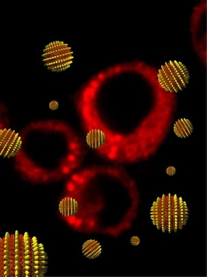 MIT researchers have created 'striped' nanoparticles capable of entering a cell without rupturing it. In the background of this cartoon are cells that have taken up nanoparticles carrying fluorescent imaging agents