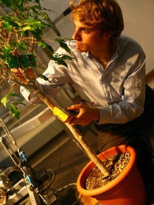 MIT senior Christopher Love and colleagues are working to find out whether energy from trees can be used to prevent forest fires. Love works here with a test tree behind the copper-plated insulated door of MIT's Faraday cage.