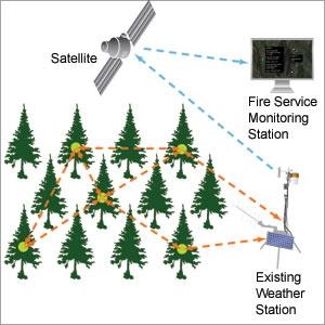 Preventing forest fires with tree power | MIT News | Massachusetts ...