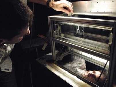 MIT Professor Tom Peacock in lab where his group performed experiments on a new approach to unsteady flow separation.