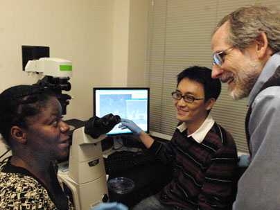 Post-doc in biological engineering Seok Chung points to view of cell-growth as Roger Kamm, professor of biological and mechanical engineering, right, and chemical engineering graduate student Vernella Vickerman look on.