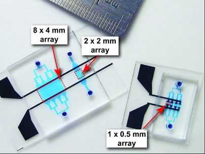 MIT researchers use this microchip to trap and fuse pairs of cells.