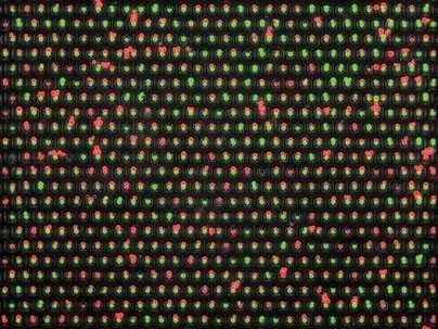 This microchip, developed at MIT, allows researchers to pair cells together in an orderly fashion. Each capture cup is sized to hold two cells.