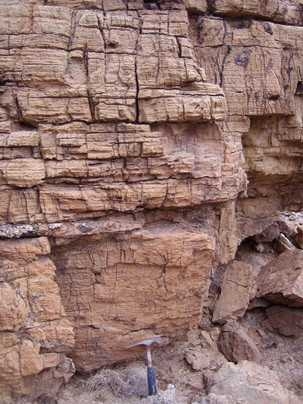 Evidence of early sponges was found in these sediments in Oman, a Marinoan age (about 635 million yearÂ old) rock unit of calcium carbonate deposited on rocks of glacial origin. The oldest sponge steroids detected in sedimentary rocks underlie this cap carbonate, and so pre-date the end of the global Marinoan glaciations.