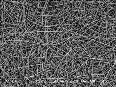 Electrospun Nanofibers for Waterproof and Breathable Clothing