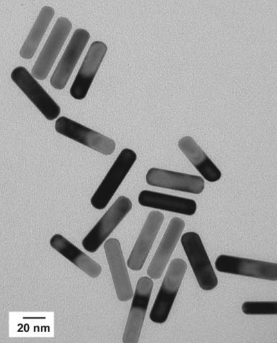 MIT researchers used these gold nanorods that absorb energy from near-infrared light and emit it as heat, destroying cancer cells.