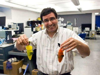 Professor Kamal Youcef-Toumi holds two robotic fishes he designed with recent PhD student Pablo Valdivia y Alvarado. The sleek robots can more easily maneuver into areas where traditional underwater autonomous vehicles can't go.