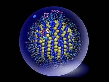 Snapshot of a simulation of a nanoparticle coated with a single layer of molecules (thin lines projecting from sphere) composed of a 1:1 mixture of hydrophobic (yellow) and hydrophilic (blue) ligands.