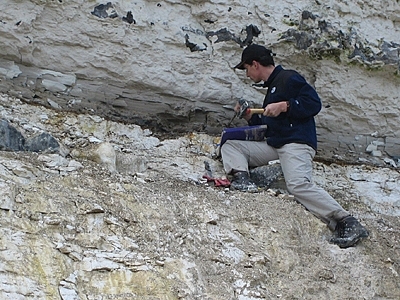 One of the paper's co-authors, Jens Wendler, chips away at a gray band in the cliffs at the Cretaceous-Paleogene Boundary (Fiskeler) at Kulstirenden, Stevns Klint, Denmark. This band represents the period of the mass extinction 65 million years ago and immediately afterwards, and is one of the thickest deposits in the world from that period.