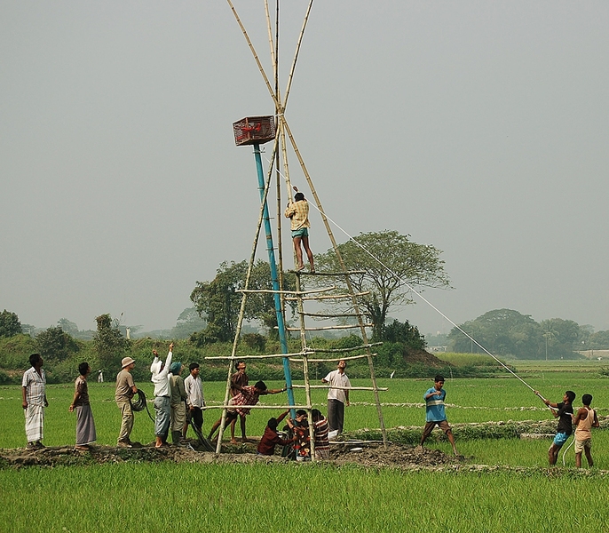 Members of the Harvey Lab and local workers from a nearby village in Bangladesh install a 20-plus-foot tower in a rice field. The red cage on the tower housed a waterproof box containing the datalogger and battery that powered, controlled and recorded data collected by 18 hydrologic sensors installed by Rebecca Neumann (in the green hat).